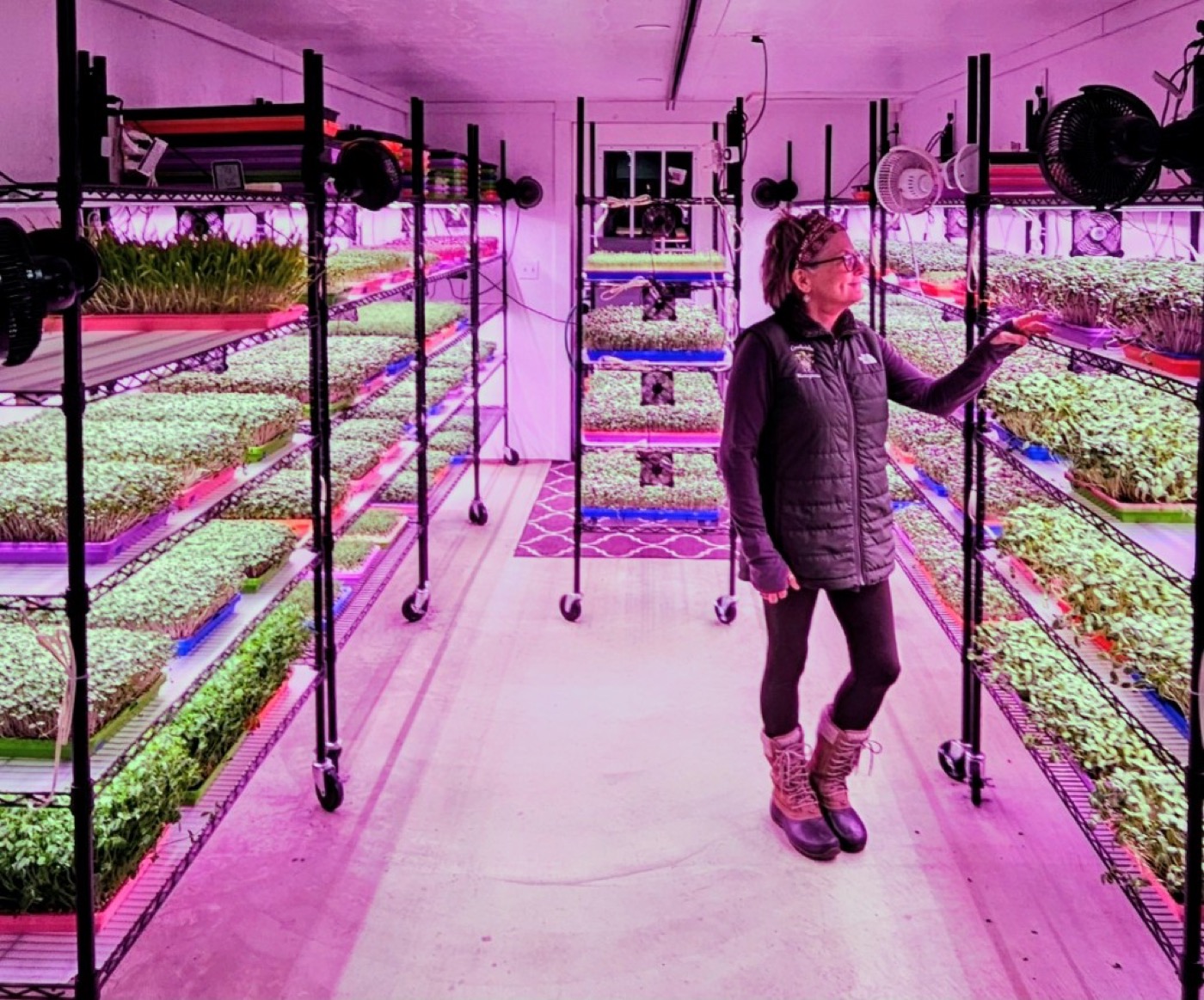 Kathy in the Creekside Microgreens growing room surrounded by shelves of fresh microgreens under purple LED grow lights